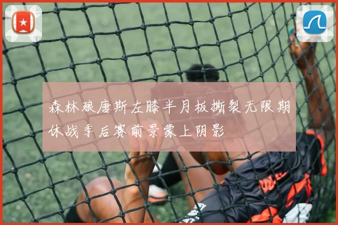 森林狼唐斯左膝半月板撕裂无限期休战季后赛前景蒙上阴影