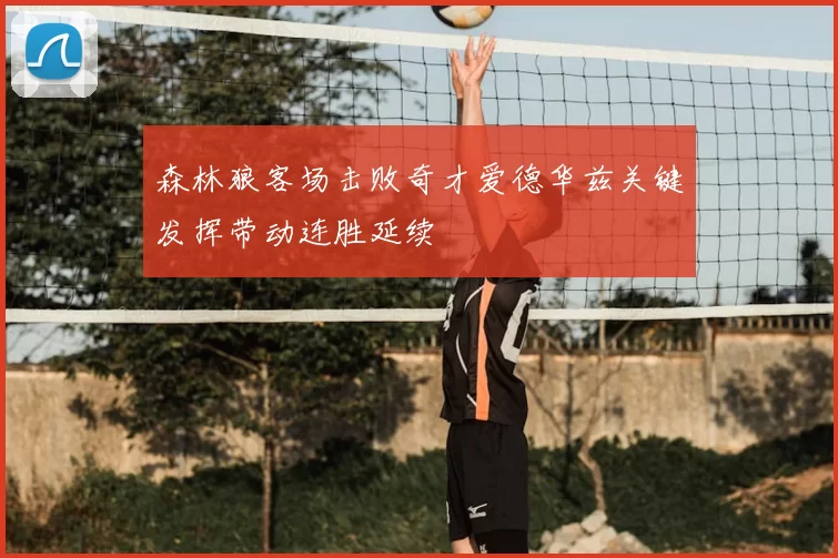 森林狼客场击败奇才爱德华兹关键发挥带动连胜延续