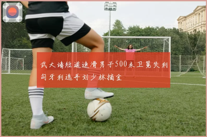 武大靖短道速滑男子500米卫冕失利匈牙利选手刘少林摘金