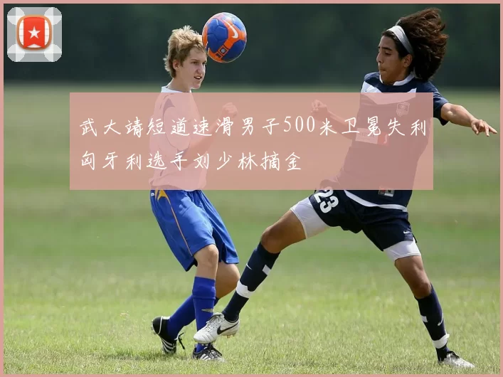 武大靖短道速滑男子500米卫冕失利匈牙利选手刘少林摘金