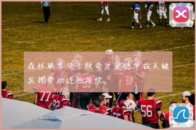 森林狼客场击败奇才爱德华兹关键发挥带动连胜延续